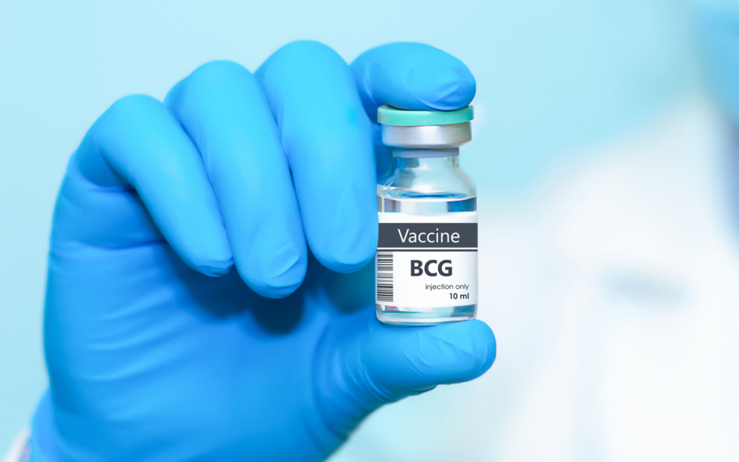 Epigenetische Effekte der BCG-Impfung auf die Immunabwehr untersucht