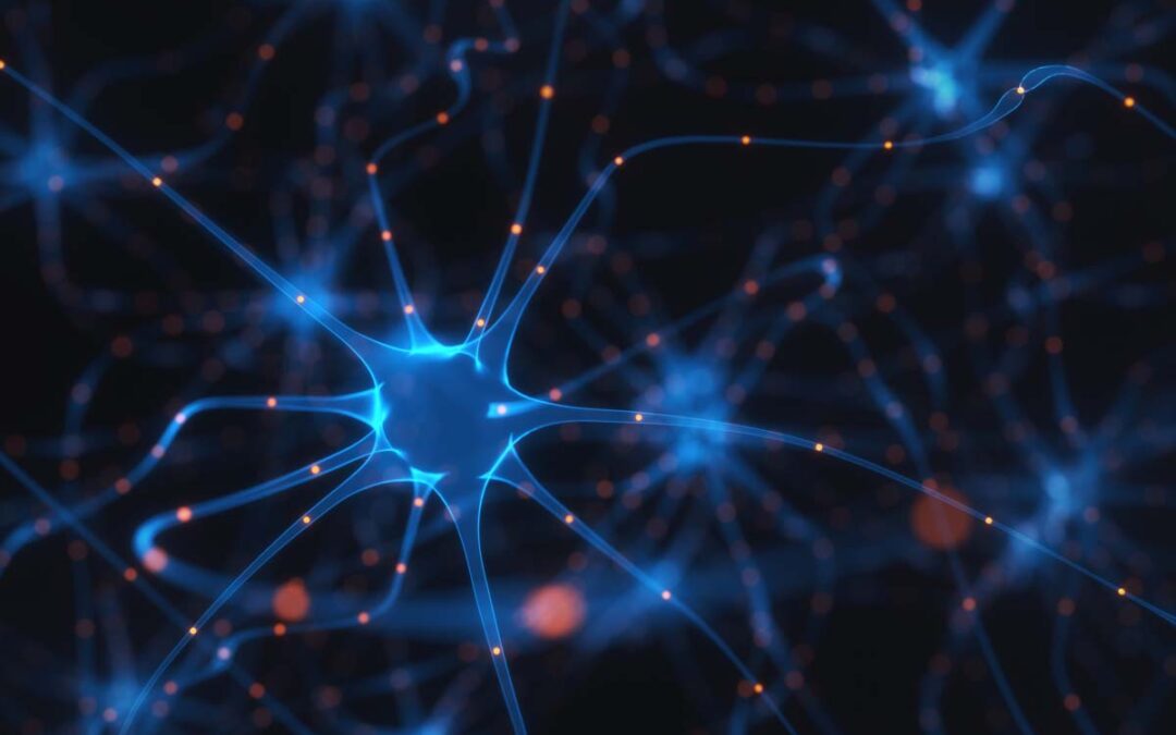 Schlüsselakteure für die Energieversorgung von Nervenfasern im Gehirn