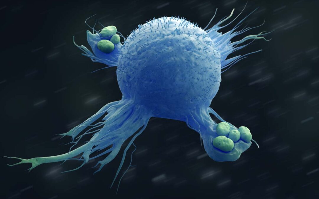 Protein Beta2-Mikroglobulin fördert Knochenmarkkrebs