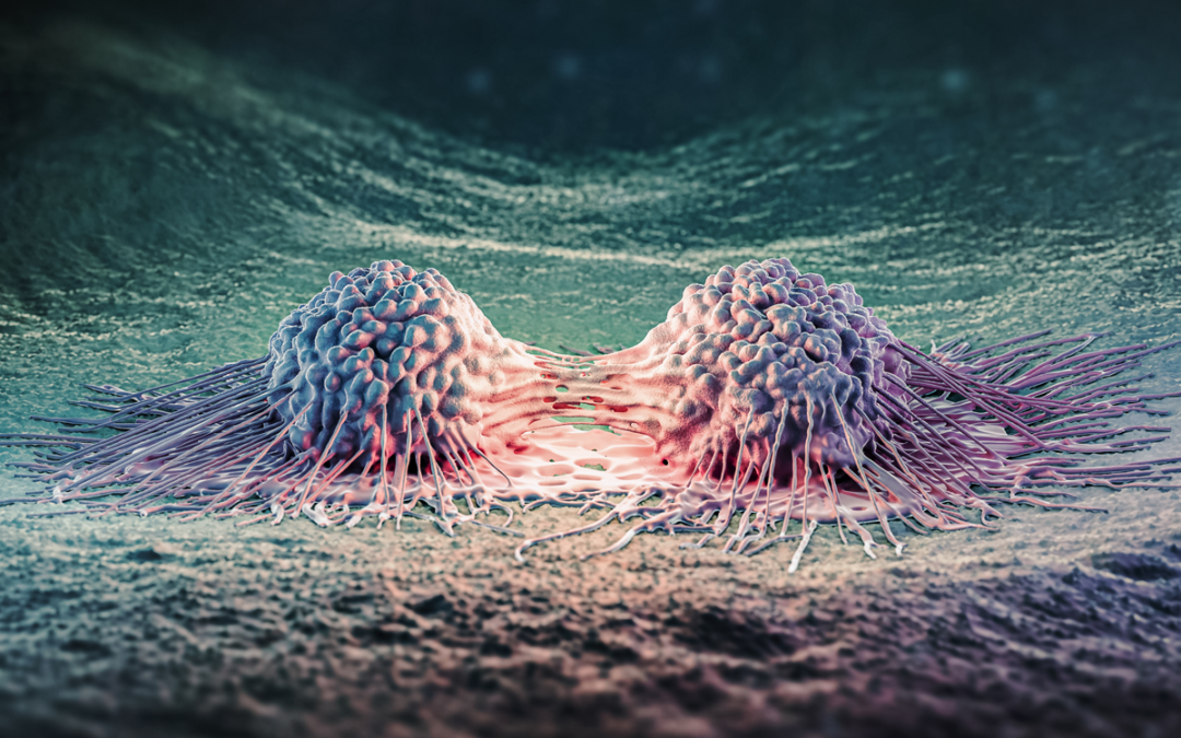 Wie Krebszellen zwischen Metastasierung und Ruhephase wählen