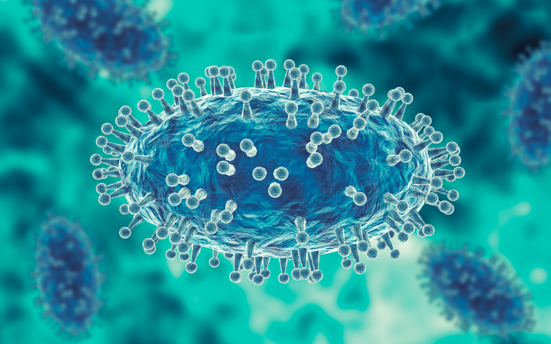 Wie Pockenvirus-Kerne den Weg für neue Therapien ebnen