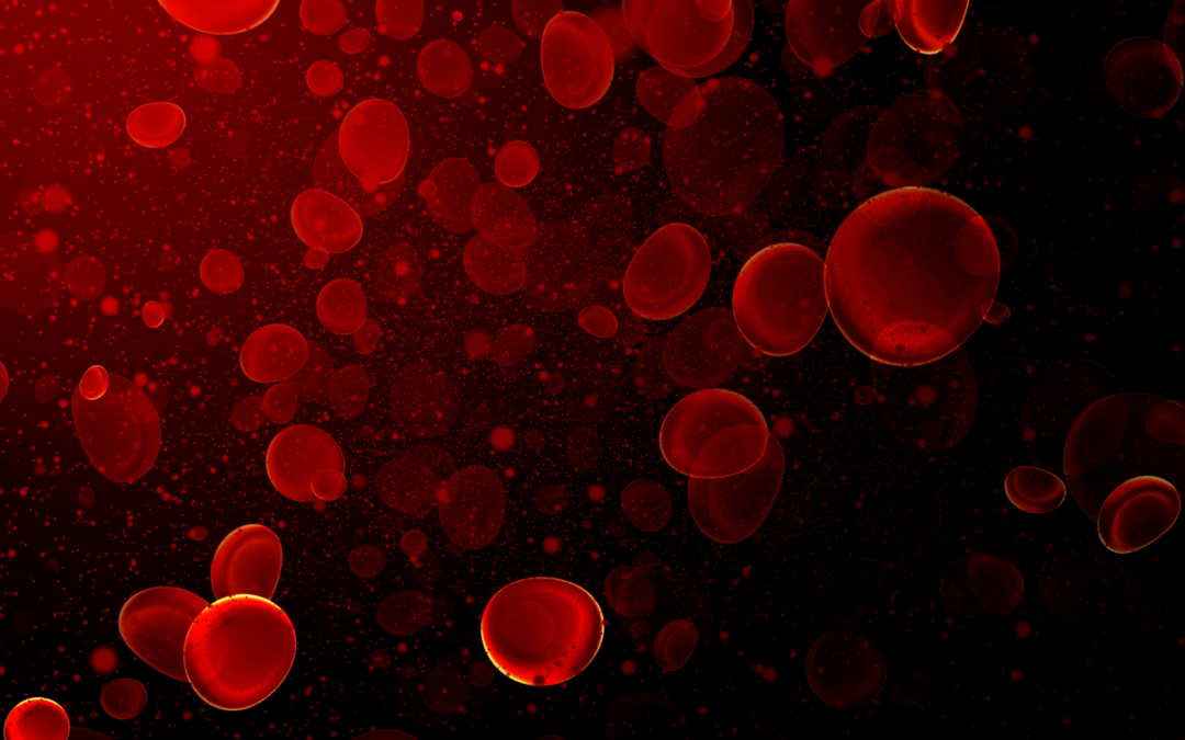 Neue Methode misst Wärmefluss in roten Blutzellen