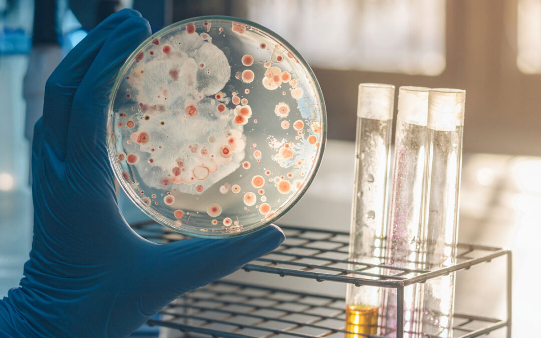 Bakterien-Sensor erfasst schädliche Mikroorganismen