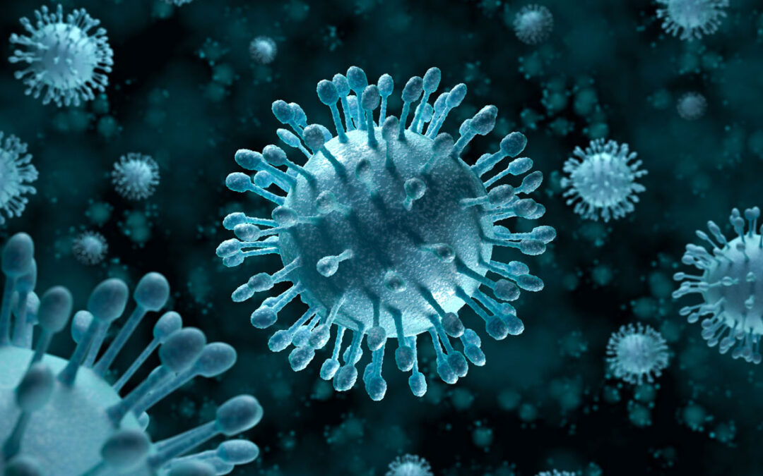 Rolle des Guanylat-bindenden Proteins 1 bei Hepatitis-C-Virus-Infektion