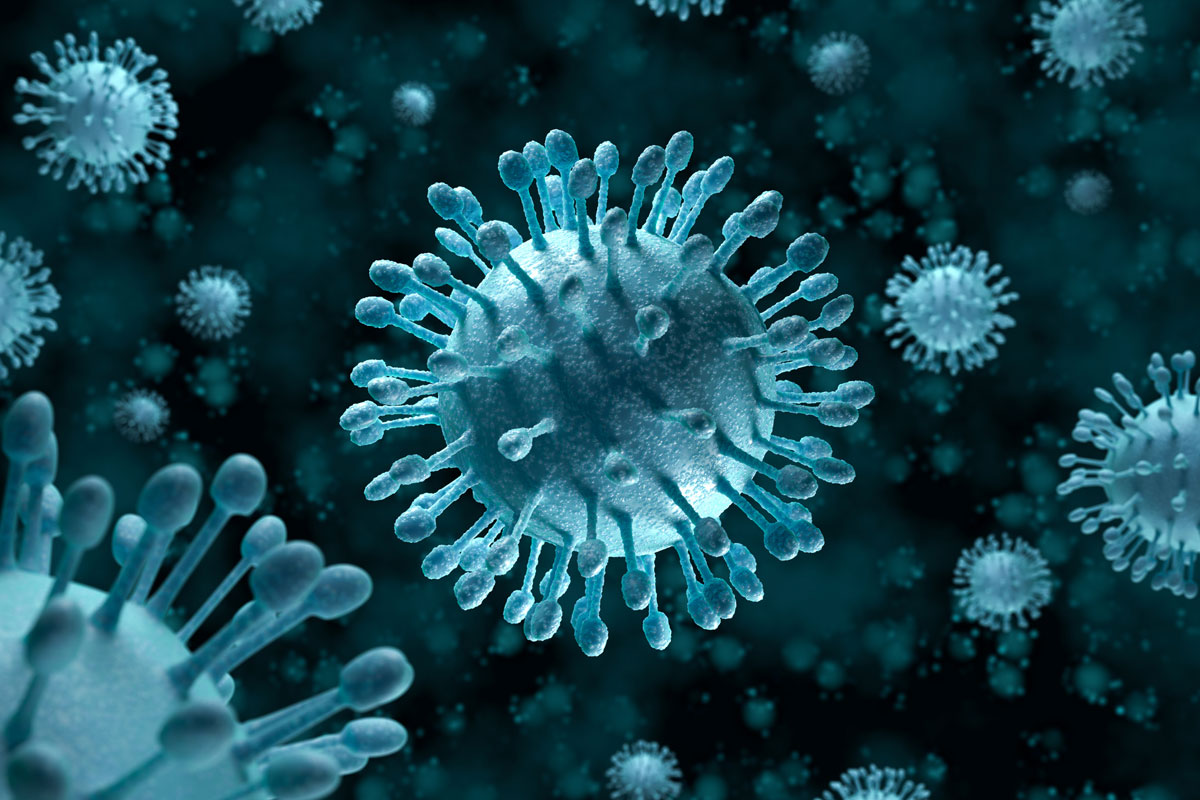 Hepatitis-C-Virus