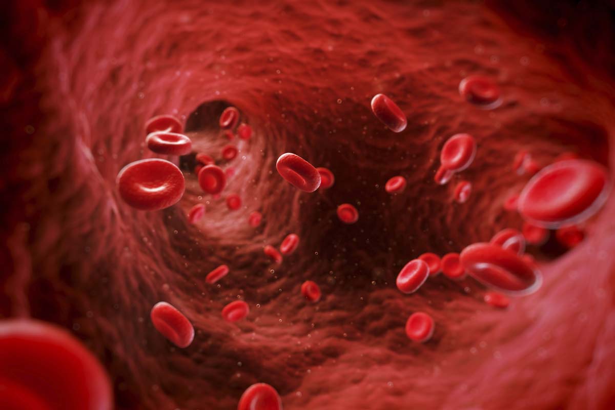 Blutgefäß mit Blutzellen.