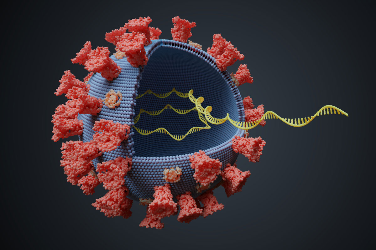 Virus mit RNA-Molekül