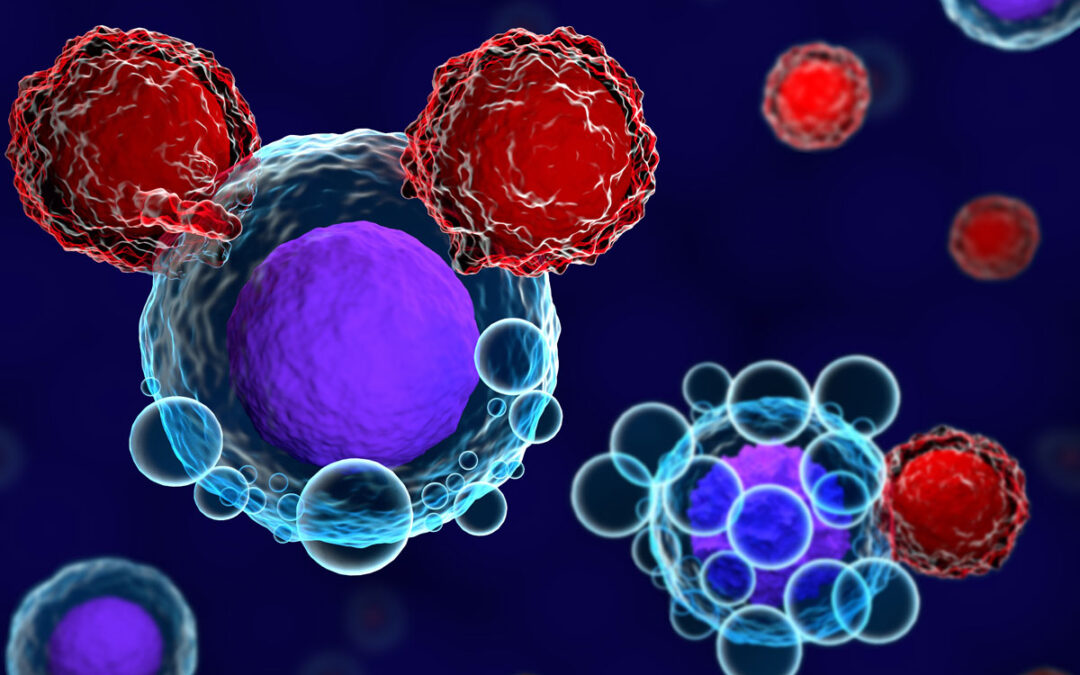 Wie natürliche Killerzellen die Krebs-Immuntherapie beeinträchtigen