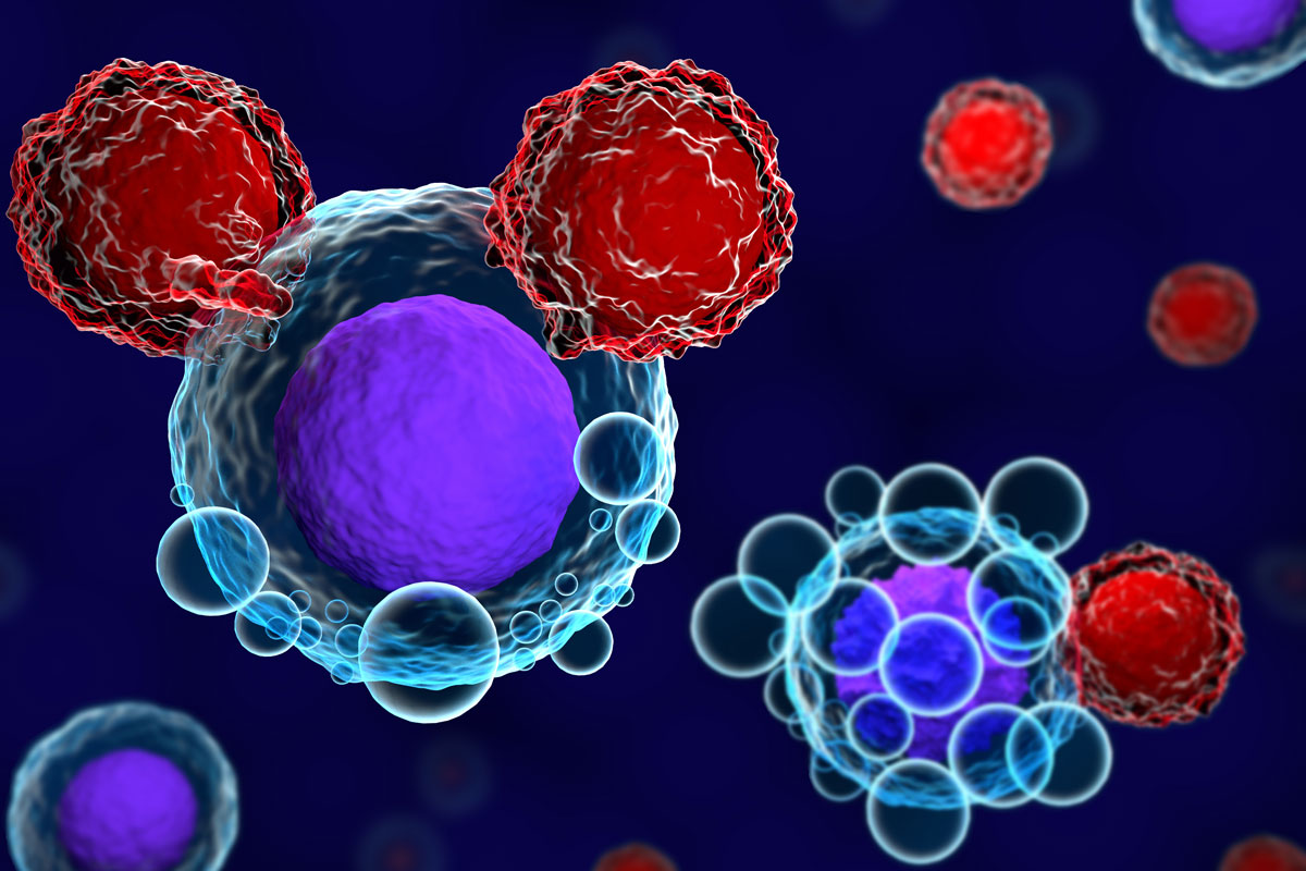 T-Zellen und Krebszellen
